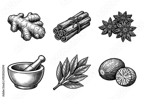 Vintage hand drawn spice collection featuring ginger cinnamon star anise bay leaf nutmeg and mortar with pestle in a detailed woodcut engraving style.