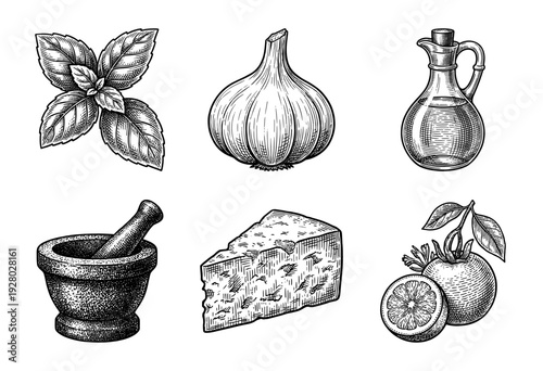 Vintage engraving style collection of pesto and Mediterranean cooking ingredients including basil garlic olive oil mortar and pestle parmesan cheese and citrus
