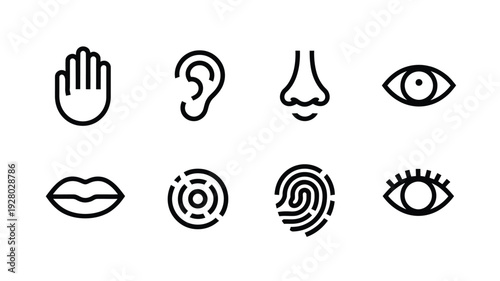 Simple line drawings depicting human senses and facial features