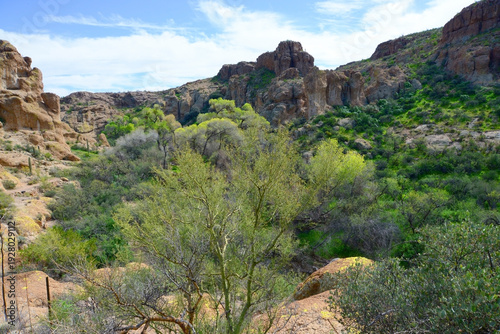 West Border of Tonto National Forest Sonoran Desert Arizona