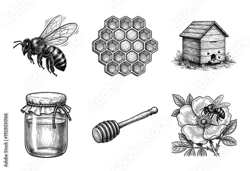 Vintage engraving style honey and beekeeping set featuring bees, honeycomb, wooden hive, glass jar, dipper, and wildflower pollination.
