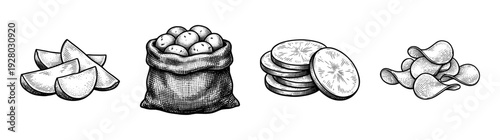 Vintage style engraving collection of potatoes in various forms including a burlap sack whole tubers wedges slices and crispy chips