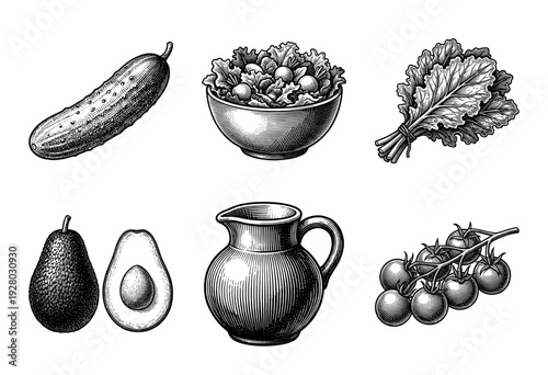 Vintage engraving collection of fresh organic vegetables and kitchenware including cucumber salad kale avocado pitcher and cherry tomatoes.