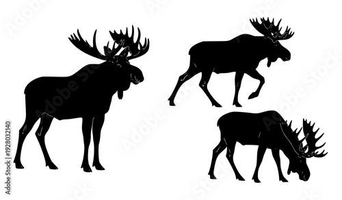 Moose Silhouette Set Three Elk Wildlife Black Vector Collection