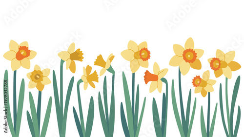 Yellow Daffodils Flowers Blooming in Garden.