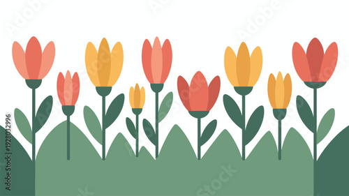 Colorful Tulips in Full Bloom Garden.