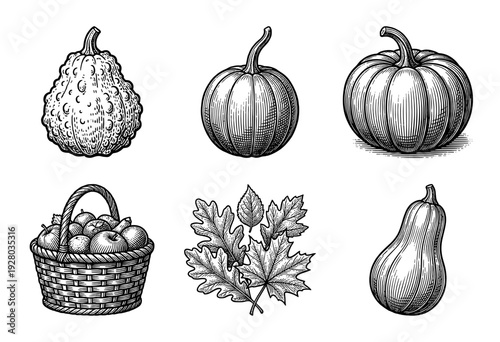 Vintage engraving collection of autumn harvest elements featuring pumpkins, gourds, oak leaves, and a wicker basket of apples in a woodcut style.