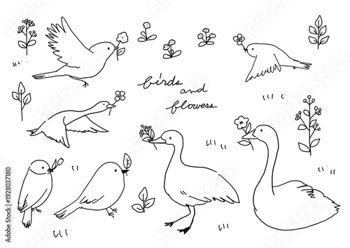 Canvas Print Hand-drawn outline illustrations of cute birds and swans Birds carrying flowers