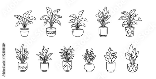 Decorative hand drawn houseplant outline icon set vector illustration