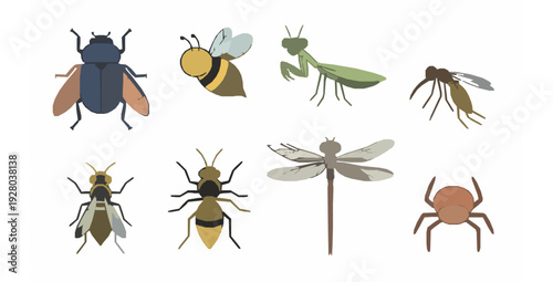 Educational cartoon insect collection flat hand drawn vector set