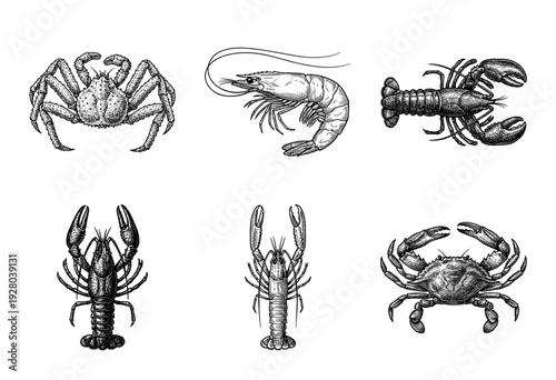 Vintage engraving collection of marine crustaceans including crabs, lobsters, shrimp, and crayfish in detailed woodcut style.