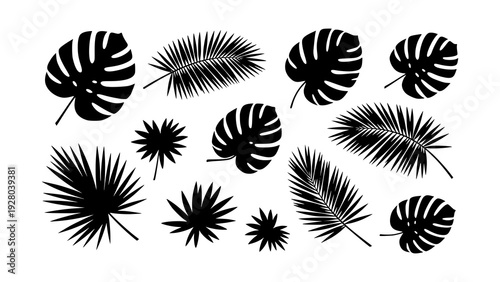 Tropical leaf silhouettes vector set, featuring various palm and monstera plants. Perfect for a lush jungle atmosphere and vibrant summer aesthetic in design