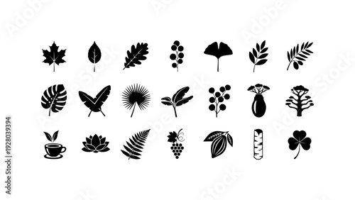 Diverse Collection of Leaf and Botanical Icons, Representing Nature's Variety and Organic Forms