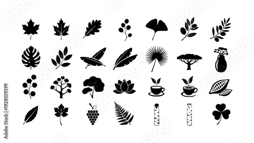 Collection of Nature-Inspired Icons Leaves, Plants, Flowers, and Natural Elements