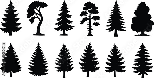 WebBlack silhouette collection of pine trees conifers evergreens spruce fir various shapes detailed branches nature forest landscape vector illustration set