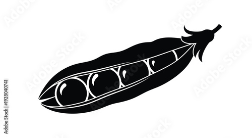 A black and white illustration of a pea pod with multiple peas