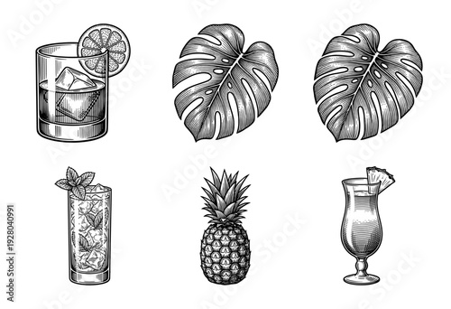 Vintage hand drawn engraving set of tropical summer cocktails, monstera leaves, and pineapple fruit on a white background.