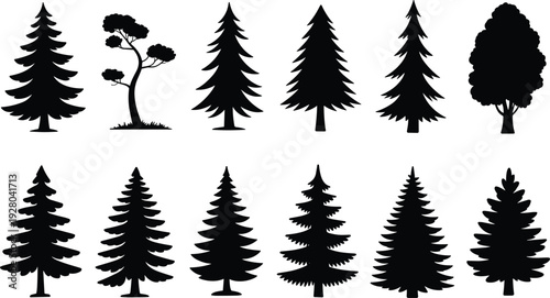 WebCollection of diverse side profile black silhouettes men women various hairstyles ponytail bob short hair anonymous vector illustration set