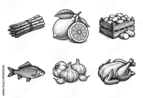 Vintage engraving style food collection featuring asparagus, lemon, potatoes in a crate, fish, garlic bulbs, and roasted chicken.