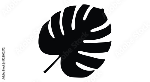 A striking black silhouette of a monstera deliciosa leaf on white