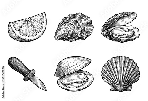 Vintage engraving style collection of seafood elements featuring oysters, scallops, clams, an oyster shucking knife, and a fresh lemon wedge.