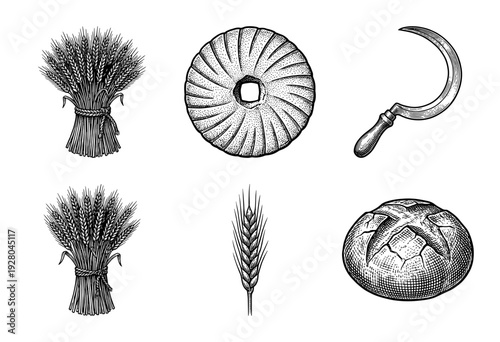 Vintage engraving style collection of wheat stalks, bundles, sickle, millstone, and baked bread loaf on a white background.