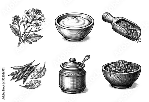Vintage engraving style collection of mustard plant botanical elements, seeds, and sauce containers