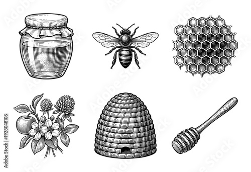 Vintage engraving style honey production collection featuring honeybee, skep hive, honeycomb, floral nectar source, jar, and wooden dipper.