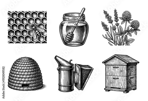 Vintage beekeeping collection featuring hand drawn engraving illustrations of honey bee hive smoker and botanical elements