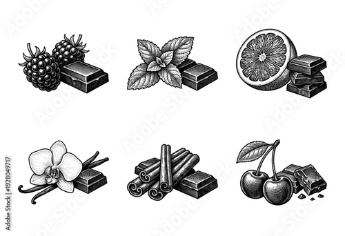 Vintage woodcut style collection of chocolate bars paired with gourmet ingredients including berries, mint, orange, vanilla, cinnamon, and cherries.