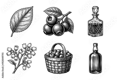 Vintage woodcut style collection of blueberry botanical elements with rustic basket and glass liquor decanters