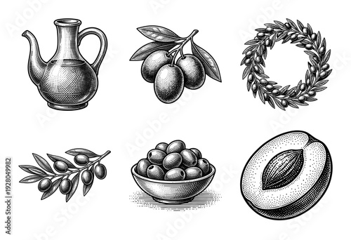 Vintage woodcut style olive collection featuring a pitcher of oil, branches, a wreath, a bowl of fruit, and a cross section of an olive with pit.