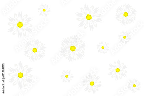 a collection of falling daisies without a background