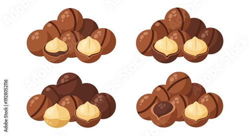 Colorful macadamia nuts arranged in two separate piles illustration