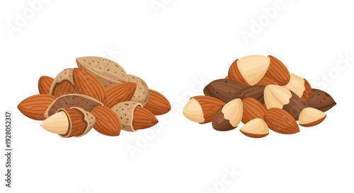 Illustrative depiction of almonds whole cracked and in piles
