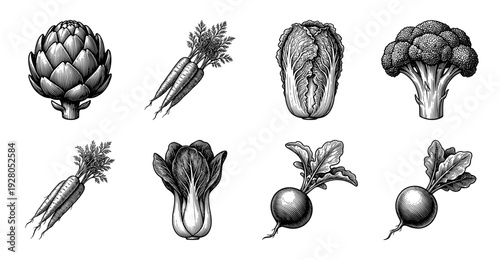 Vintage engraving style vegetable collection featuring artichoke, carrots, broccoli, radish, and cabbage in detailed black and white woodcut illustration.
