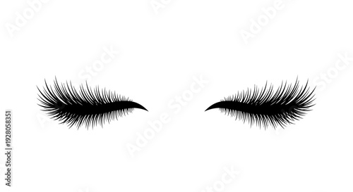 False Lash Eyelashes.