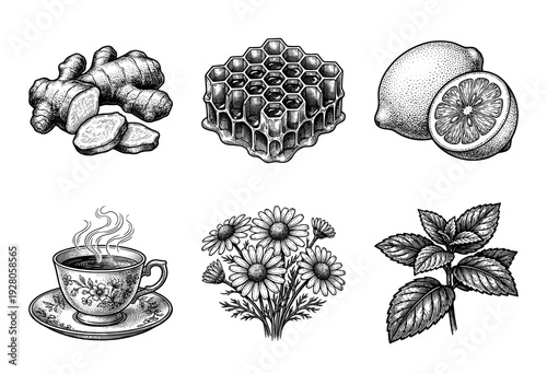 Vintage engraving style collection of herbal tea ingredients including ginger, honeycomb, lemon, chamomile flowers, and fresh mint leaves