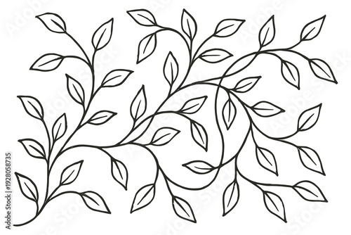 Intricate line drawing of a branching vine with delicate leaves