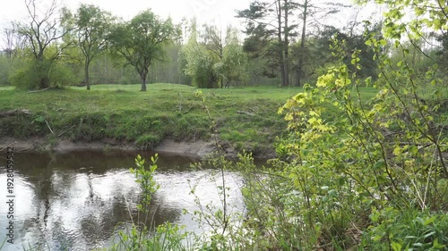 Wallpaper Mural View across a calm river to the opposite bank. The far side has a steep sandy riverbank, green meadow, and scattered trees under a bright sky. Lush bushes frame the foreground.  Torontodigital.ca