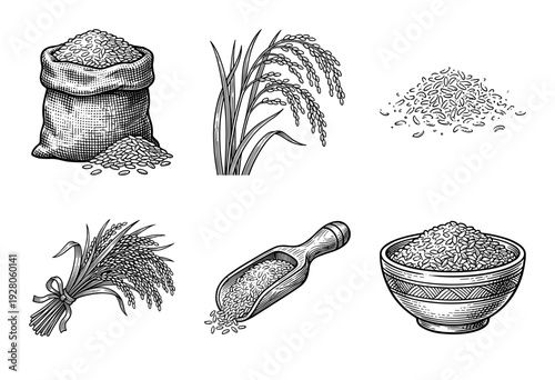 Vintage black and white line art collection of rice stalks, grains in sacks, and wooden scoops