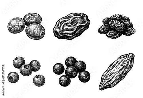 Vintage engraving of dried fruits and berries collection featuring raisins, sultanas, currants, and blueberries in a hand-drawn woodcut style.