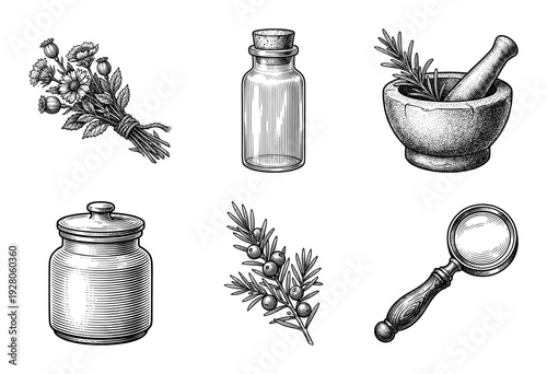 Vintage engraving style collection of apothecary tools and herbal medicine elements featuring mortar pestle botanical sprigs glass jars and magnifying glass
