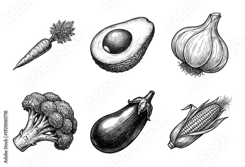 Vintage style botanical engraving set of organic vegetables and fruit featuring carrot avocado garlic broccoli eggplant and corn