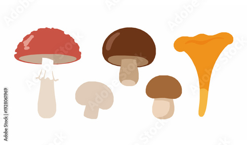 Cute tropical fruit vector set with colorful summer fruits in flat cartoon style for kids and illustrations