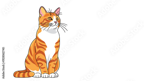 Man from the back looking at several large blue question marks representing uncertainty and the need for answers in business or life.