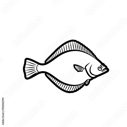 Flounder fish outline drawing, marine life illustration, isolated on white background