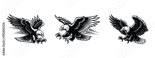Flying Eagle Vector Illustration Set – Black and White Silhouettes with Spread Wings