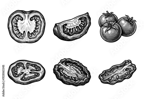 Set of hand drawn tomato illustrations including whole fruit and various slices in a vintage woodcut engraving style