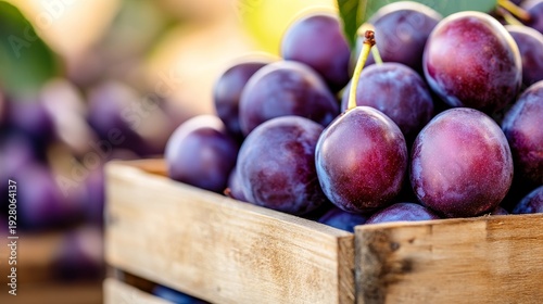 A vibrant wooden crate filled with glossy purple plums, bathed in warm, natural light